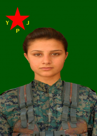JIYAN CÛDÎ