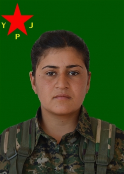 AMARA KOÇER