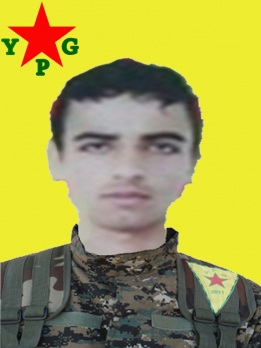 EL&Icirc; AM&Ucirc;D&Ecirc;