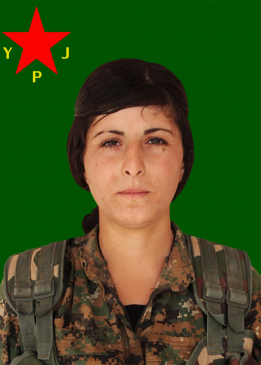 REHŞAN AVJ&Icirc;N
