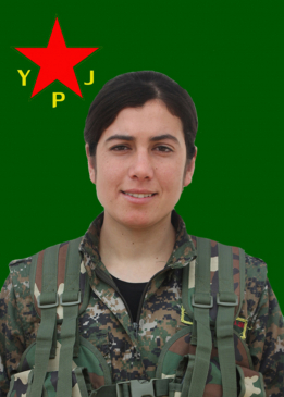 EVRİM ÇIYA