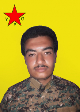 ZİBEQ SER&Ecirc;KAN&Icirc;