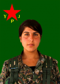 NARÎN ZAGROS