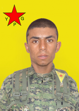 RENAS ŞEDADE