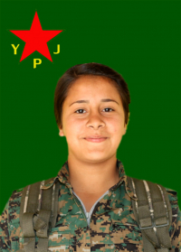 KURDISTAN XEMGÎN