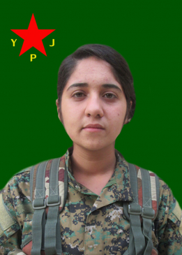 HEVÎ AMED