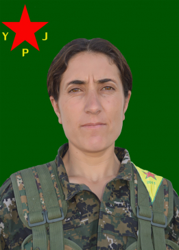 DARSÎN ŞOREŞ