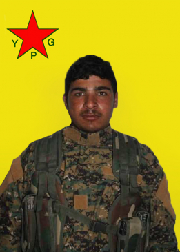 ELÎ SELMASA