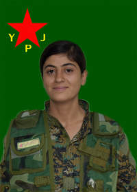 DELÎLA ROJAVA