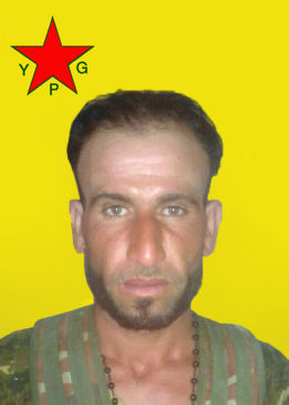 RON&Icirc; ŞEDADE