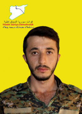 HEMO QAMIŞLO