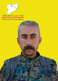 TEKOŞÎN ŞÊREWA