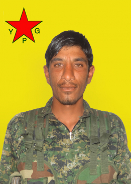 HEMUDE QAMIŞLO