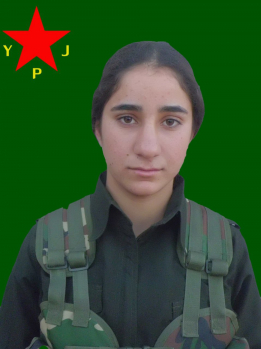 DESTAN ZAGROS