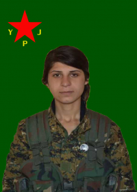 C&Icirc;HAN BOTAN