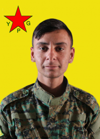 CÎGERXWÎN QAMIŞLO