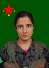 RONYA NISÊBÎN