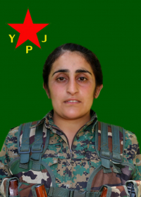 ARÎN GABAR