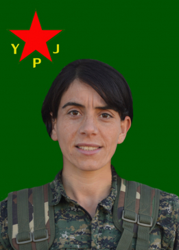 GULÎSTAN COLEMERG