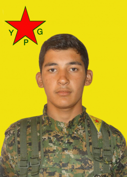 ŞERO QAMIŞLO
