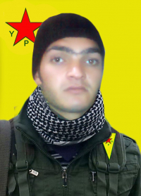 BIŞRÎ CIBNÊ