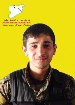 CANŞÊR TORÎ
