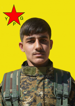 ŞERO QAMİŞLO