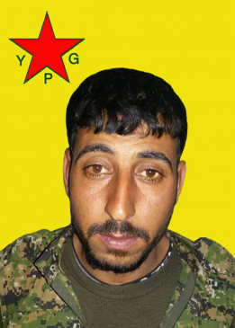 FAYIZ NEŞWA