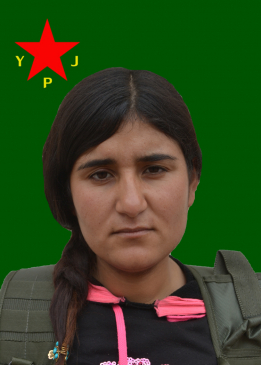 PELDA ARÎ