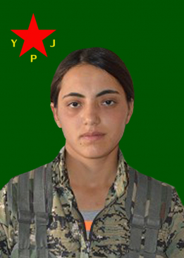 HEZIL ORHAN