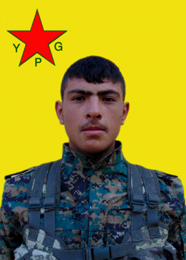 ELA EFR&Icirc;N