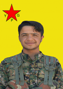 DILŞER SEREKAN&Icirc;