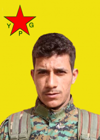 ŞÊRWAN KURDÎ