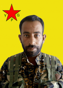 EL&Icirc;ŞER HESEK&Ecirc;