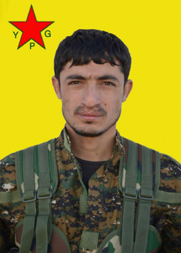ŞERZAN HÎLVAN