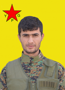 ROJHAT QAMIŞLO