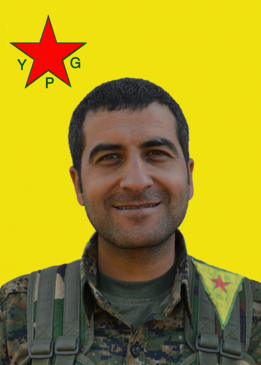 AMED YAŞAR