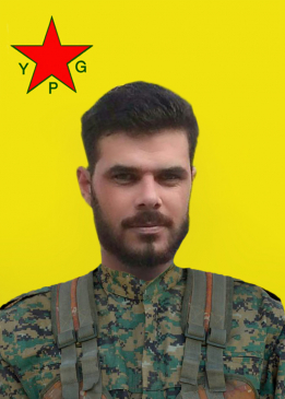 ŞAHÎN ISMAÎL