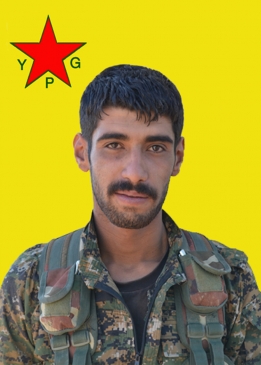 AVAREŞ ZAP