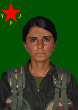 ZOZAN KOBANÊ