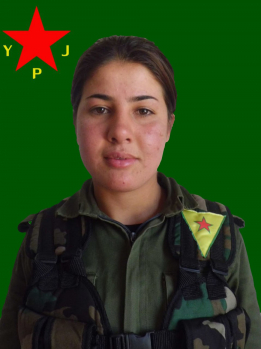 SORXWÎN KOBANÊ