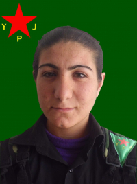 GULÎSTAN AMARA