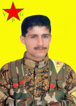 AMED QAMIŞLO