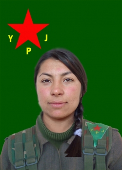 AGIRÎ NEWROZ