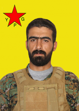 CANO QAMIŞLO