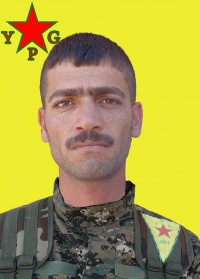 DELÎL QAMIŞLO