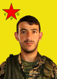 RÊBER CELAL