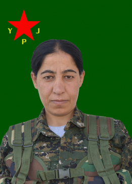 NUJIYAN ÇEM