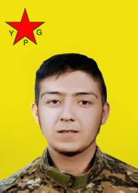 ŞOREŞ QAMIŞLO