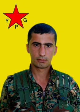 EG&Icirc;D AMED